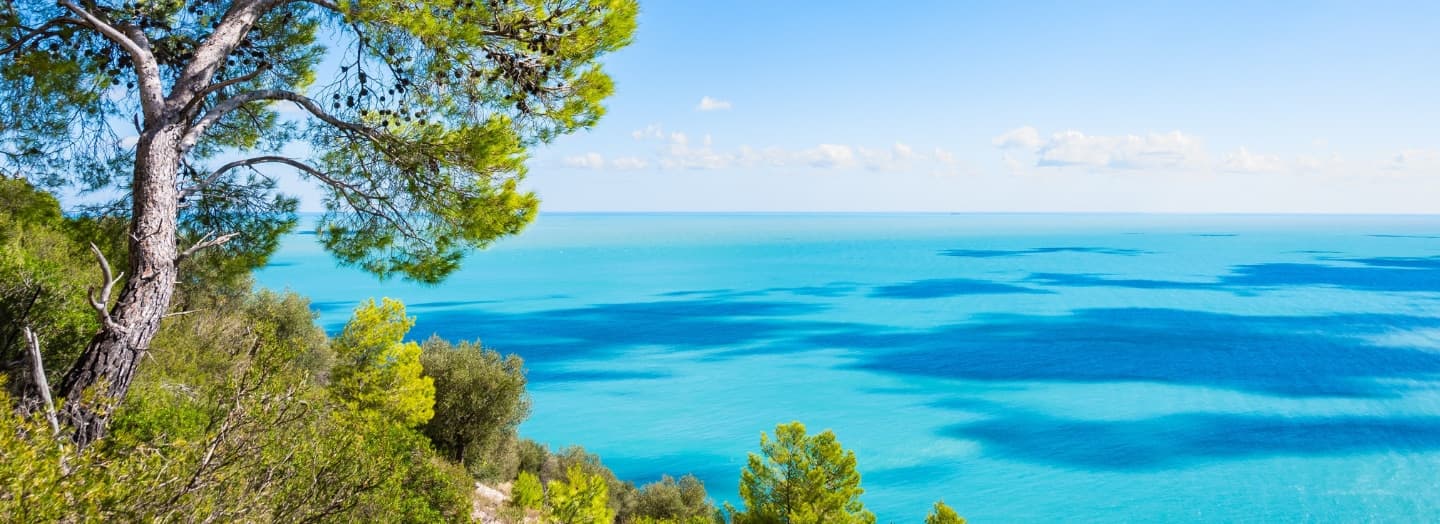 Banner Grecia