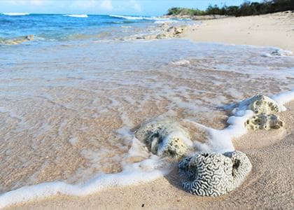 Holguin Sea