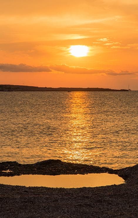 Cala Mondragó, spiaggia situata a Maiorca