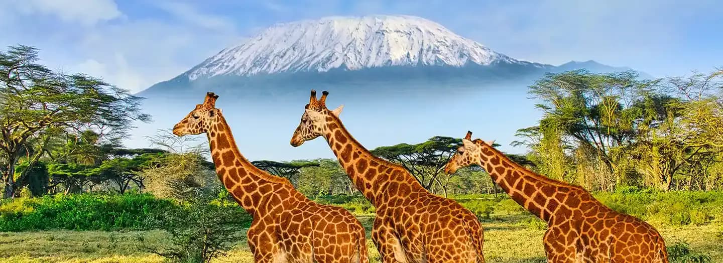 Kenya