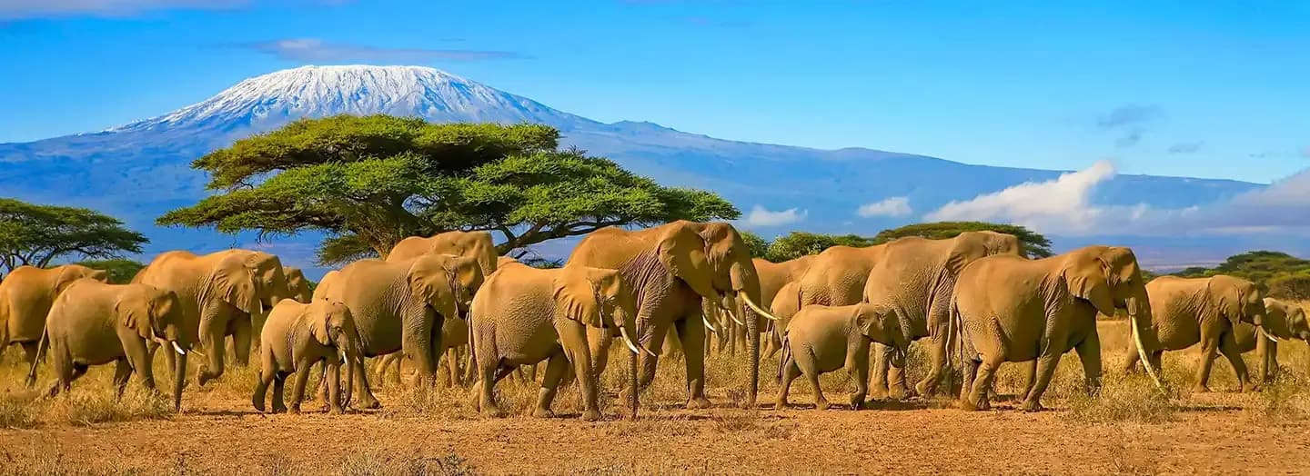Tanzania